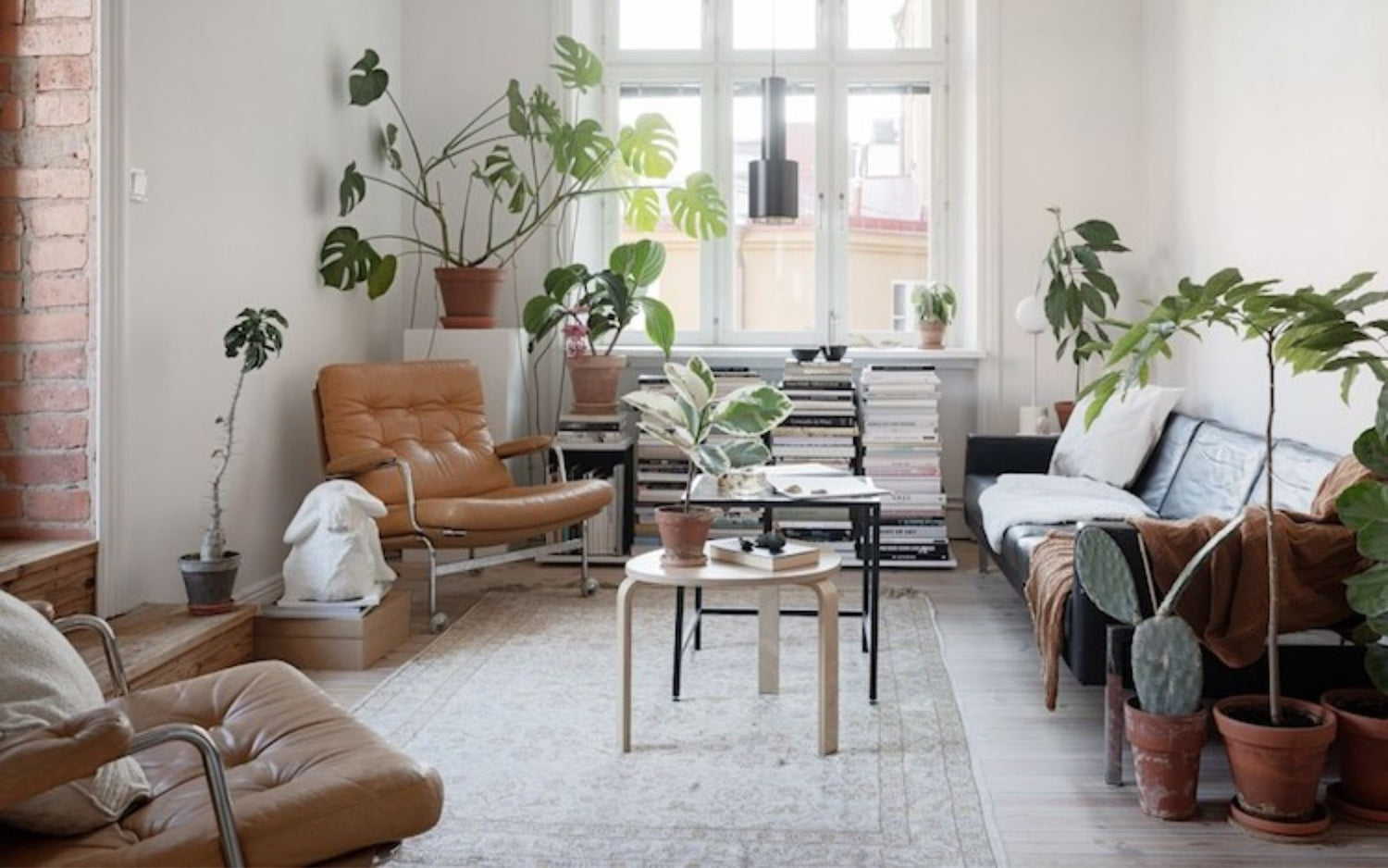 Κάνε το ενοικιαζόμενο σπίτι σου σαν δικό σου: 10 hints