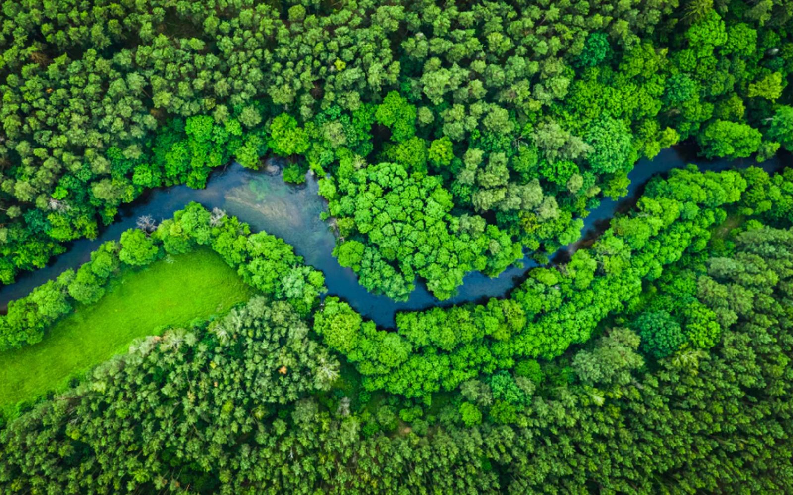 Υπευθυνότητα και Βιωσιμότητα: Το COP28 και η δέσμευσή μας στο Hintsdeco