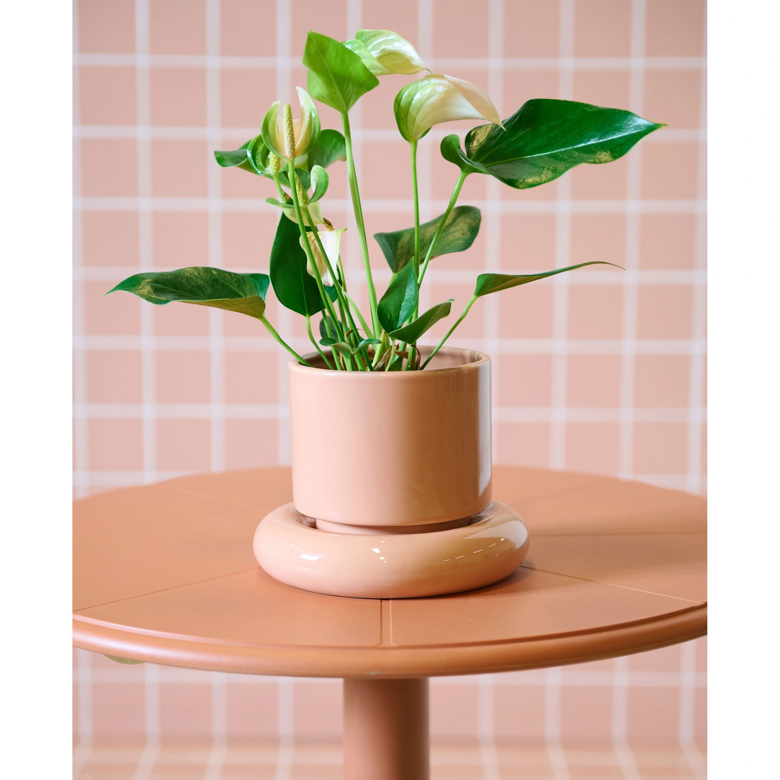 Κασπώ Amara - Δολομίτης Πορτοκαλί Ø12,5 x 19 x 15 cm HintsDec