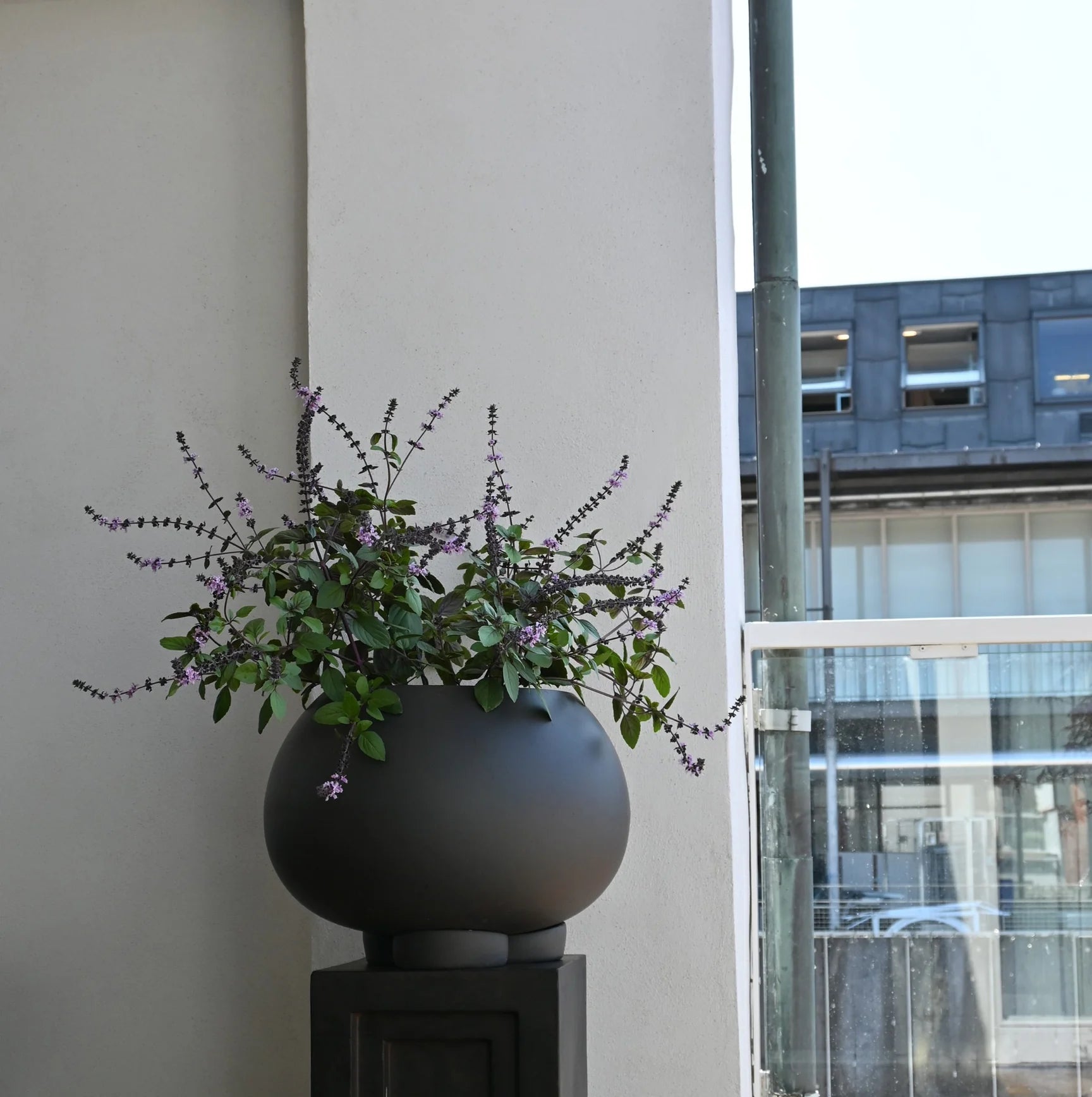 101 COPENHAGEN Κασπώ Urchin Medio Κασπώ Σκούρο Καφέ Σκυρόδεμα 46.5x46.5x32cm 101 COPENHAGEN