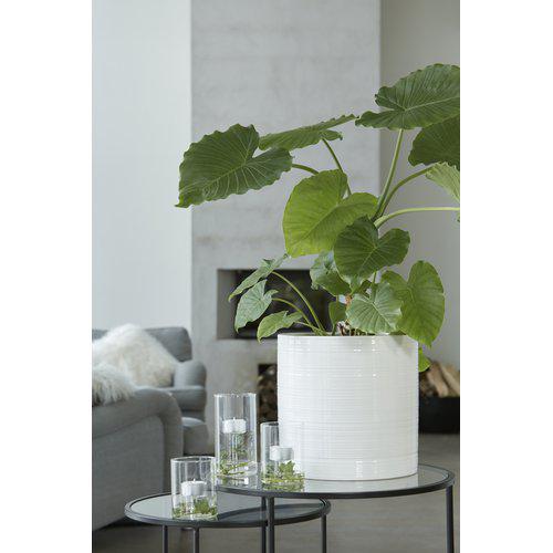 INA Γυάλινο Κηροπήγιο Clear – 9xΗ15cm/ Ø8,5 HintsDeco