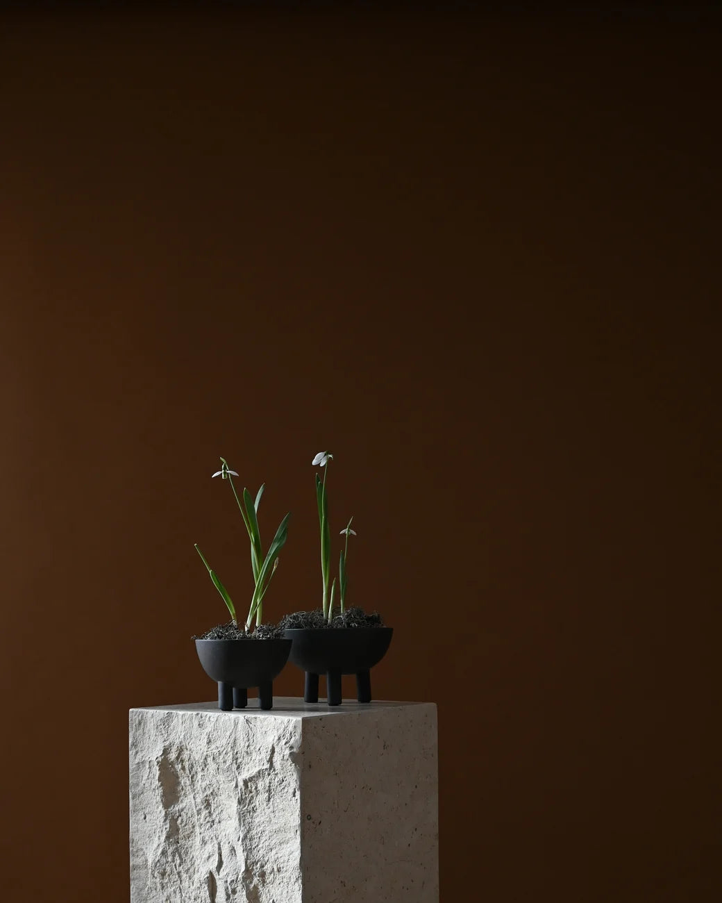 101 COPENHAGEN Διακοσμητικo Μπολ Μπολ Duck Big Καφέ/Μαύρο Κεραμικό 16x11cm, 101 COPENHAGE