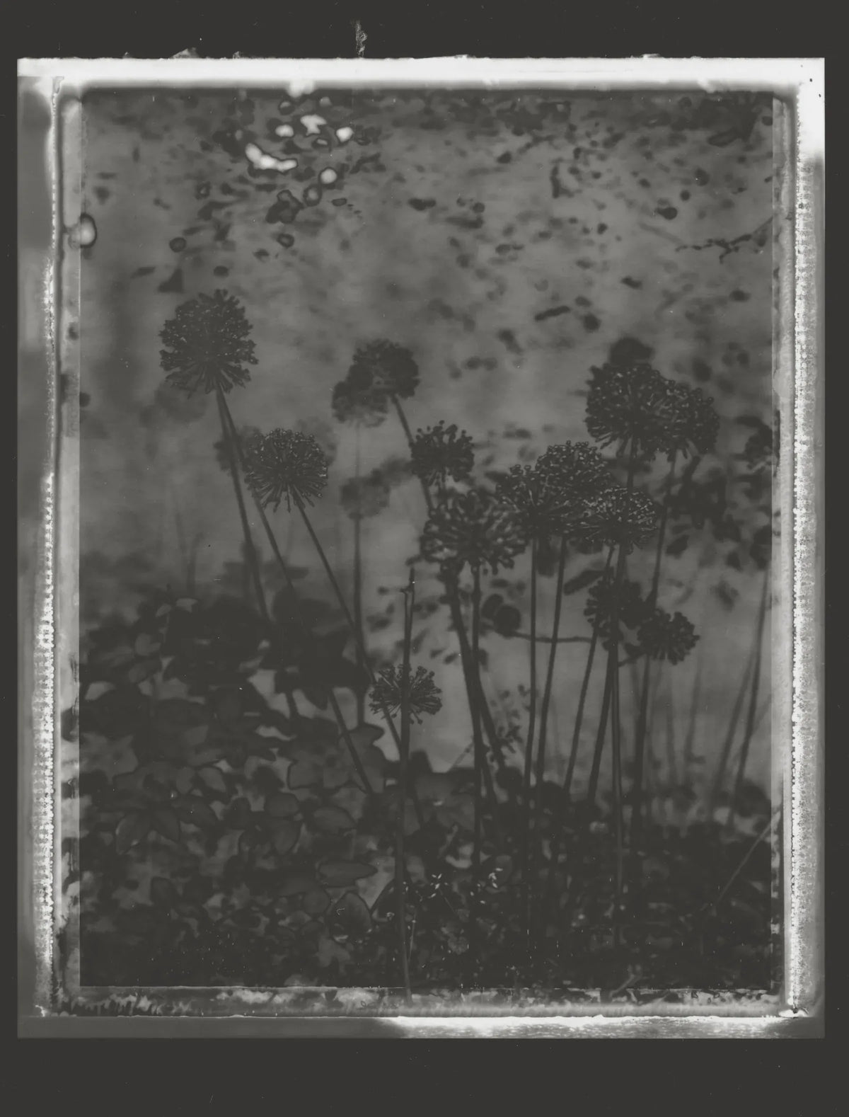 Βιβλίο Τέχνης In My Dream Last Night - Μπεζ 23 x 2.7 x 30 cm HintsDeco