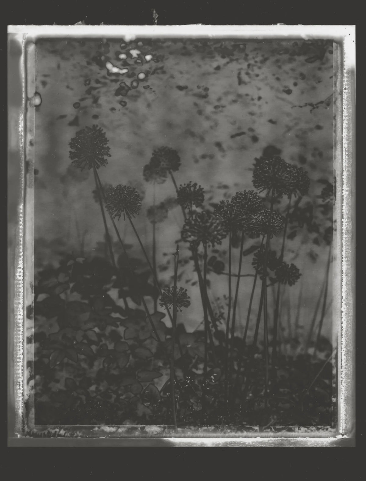 Βιβλίο Τέχνης In My Dream Last Night - Μπεζ 23 x 2.7 x 30 cm HintsDeco