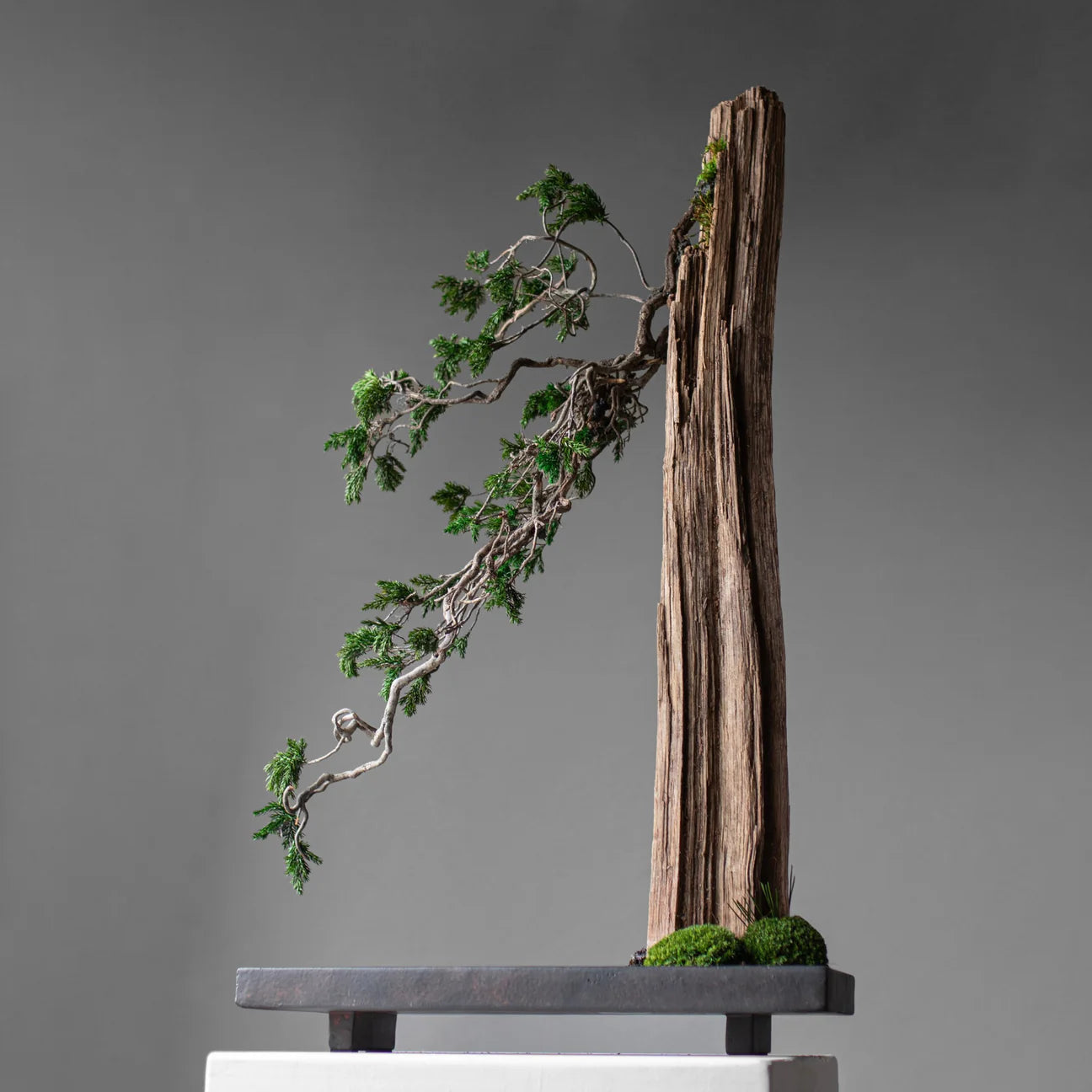 101 COPENHAGEN Διακοσμητική Πιατέλα Διακοσμητική πιατέλα, Oka Tray Σκούρο Καφέ Κεραμικό, L45/W20/H6 cm 101 COPENHAGEN (Copy)