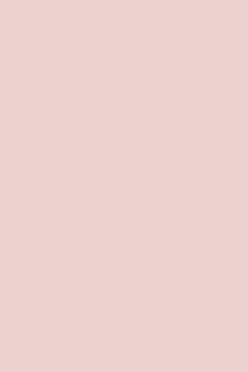Mustard Ντουλάπι Μεταλλικό ντουλάπι Locker The Shorty in Blush Χάλυβα Ροζ H72xW35xD46cm Mustard