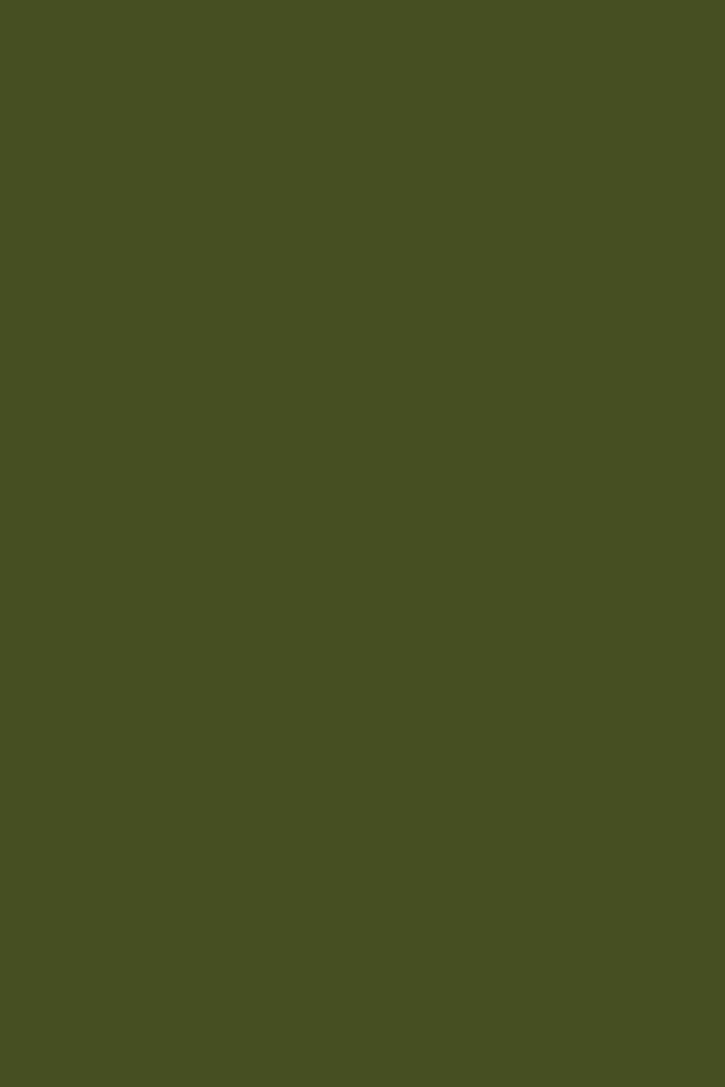 Mustard Ντουλάπι Μεταλλικό ντουλάπι Locker The Lowdown in Olive Χάλυβα Πράσινο Λαδί H72xW100xD40cm Mustard