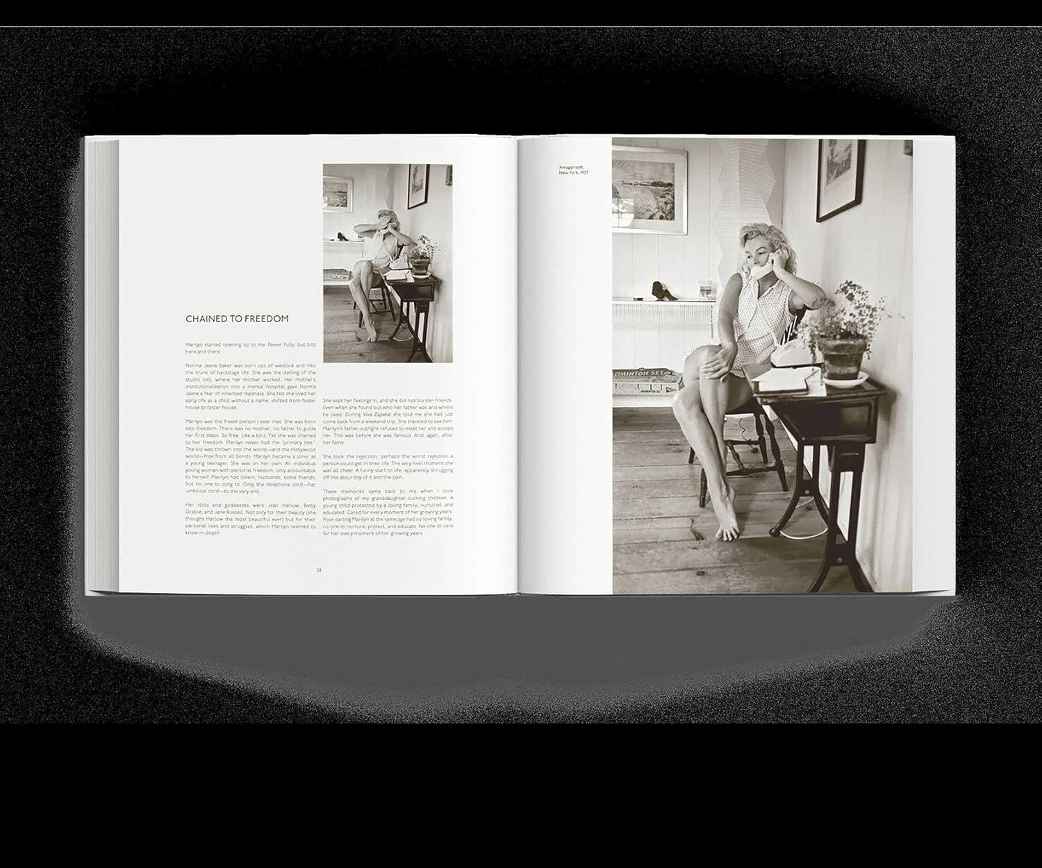 Βιβλίο Τεχνης, Dear Marilyn: The Unseen Letters and Photographs, Γκρι, 29,5×2,5×33 cm, Hintsdeco