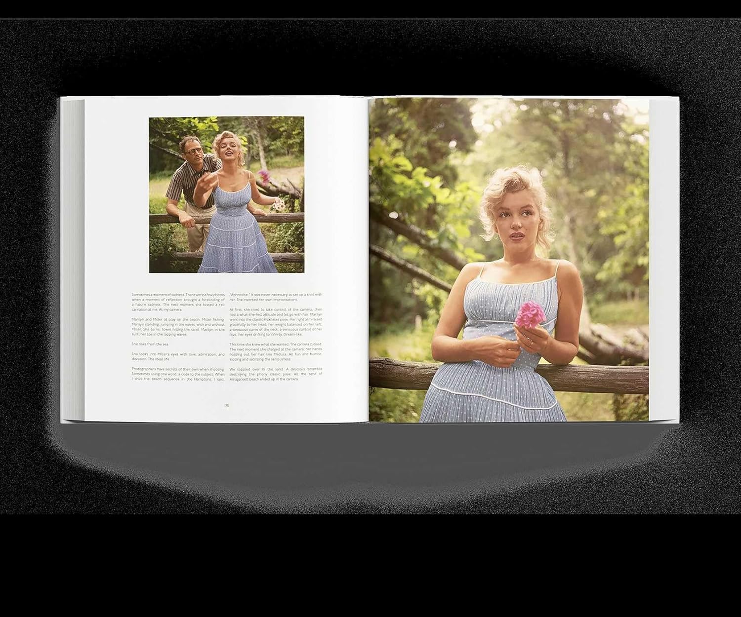 Βιβλίο Τεχνης, Dear Marilyn: The Unseen Letters and Photographs, Γκρι, 29,5×2,5×33 cm, Hintsdeco