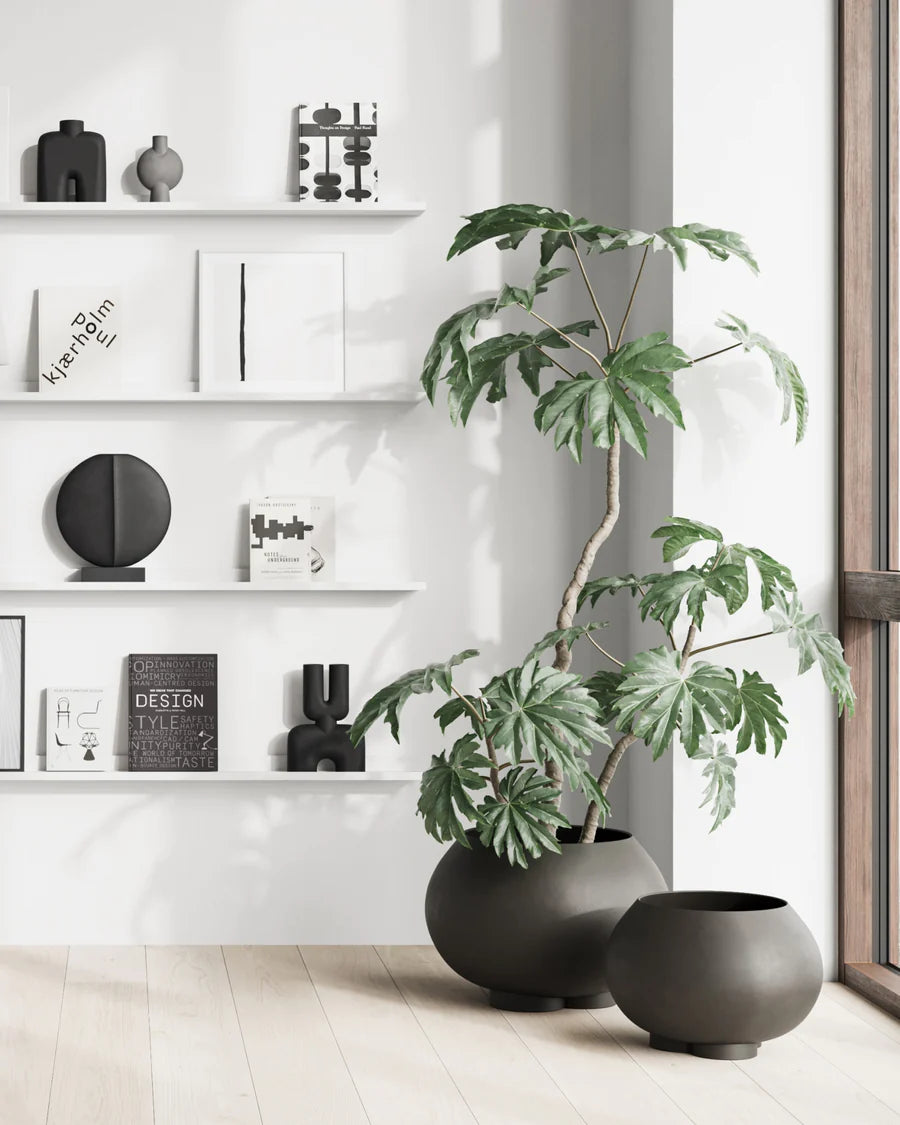 101 COPENHAGEN Κασπώ Urchin Medio Κασπώ Σκούρο Καφέ Σκυρόδεμα 46.5x46.5x32cm 101 COPENHAGEN