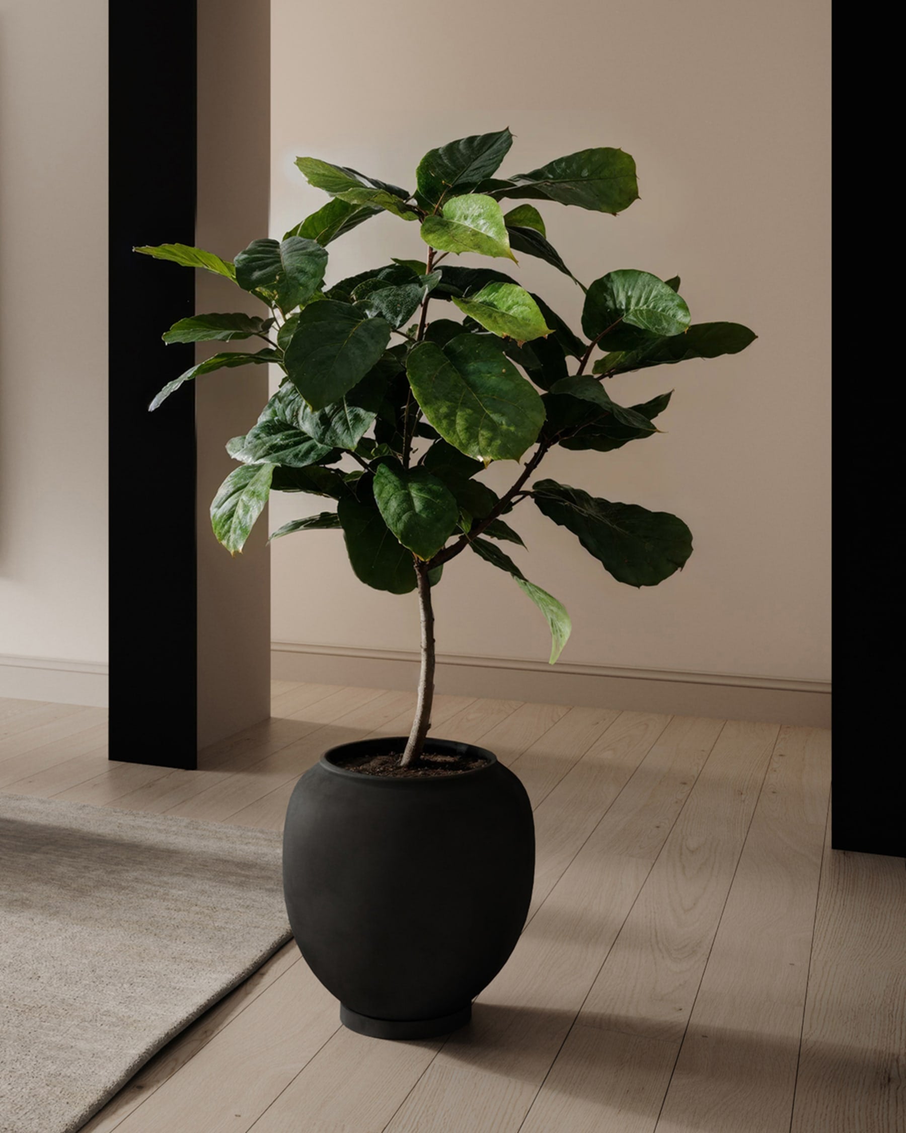 101 COPENHAGEN ΓΛΑΣΤΡΑ Γλάστρα Sunao Μεγάλη Μαύρη 53x53x34.5 101 COPENHAGEN