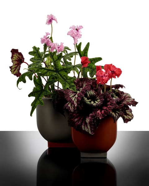 Κασπώ Flower Pot 02 - Κεραμικό Καφέ L20.5 x W20.5 x H19.5 cm SERAX