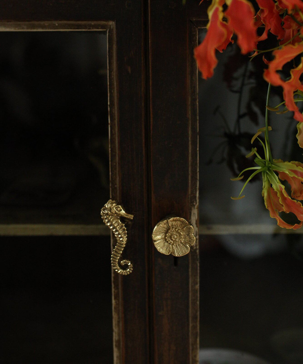 Διακοσμητικό Πόμολο Pippa Seahorse Right - Ορείχαλκος 3 x 7,5x 7 cm Doing Goods
