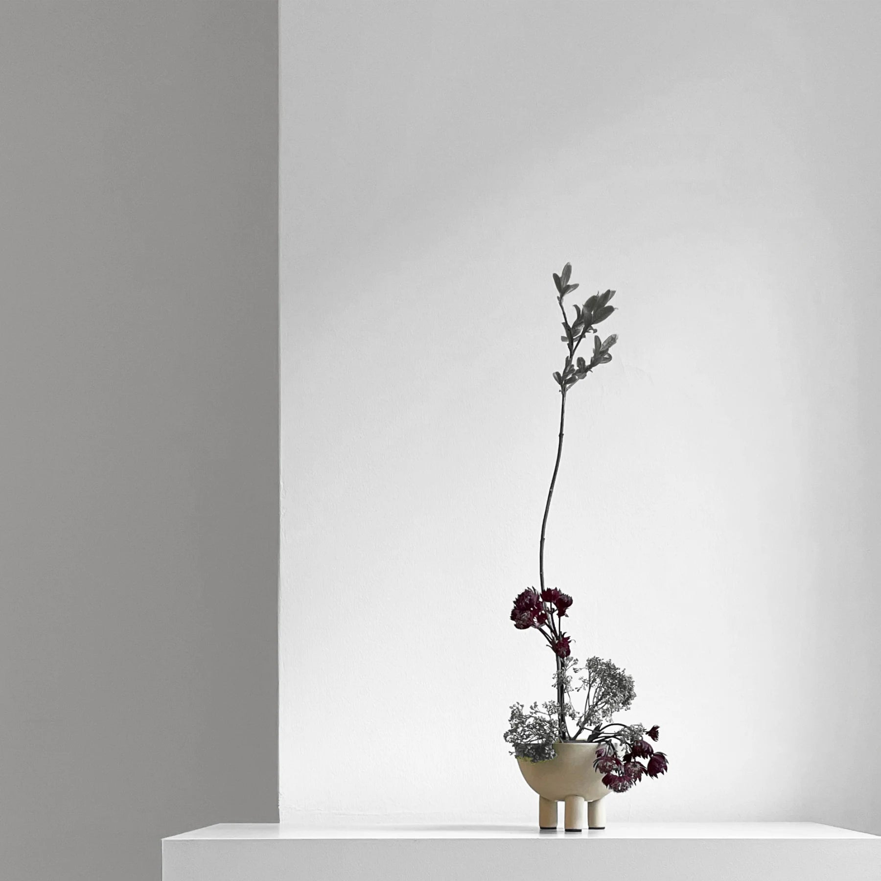 101 COPENHAGEN Διακοσμητικo Μπολ Duck Κεραμικό Διακοσμητικό Μπολ Mini Μπεζ L12xW12xH9cm 101 COPENHAGEN