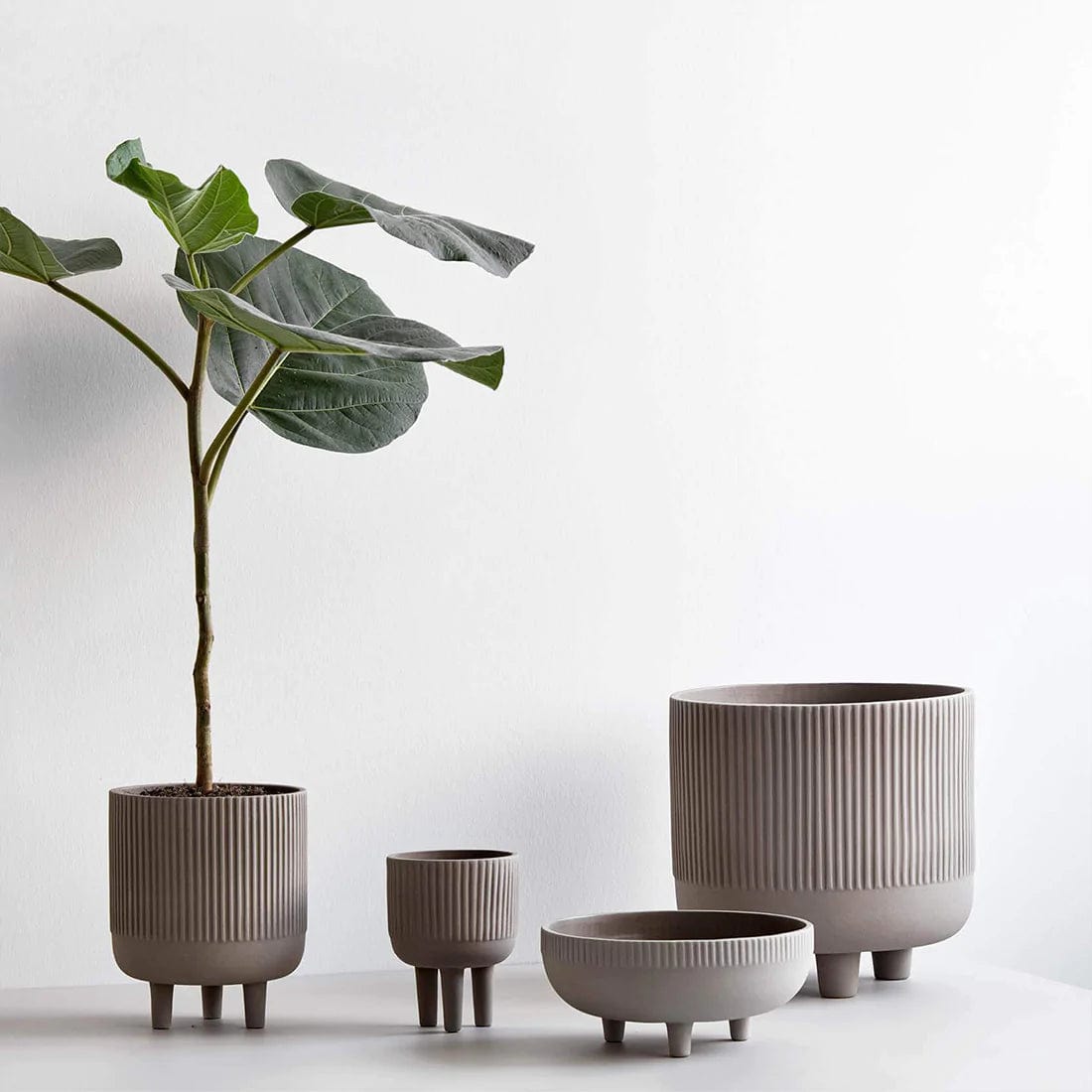KRISTINA DAM studio Διακοσμητικό Μπολ Διακοσμητικό Mπολ, Medium, Ø24XH11CM, Γκρεζ, Τερακότα, KRISTINA DAM studio