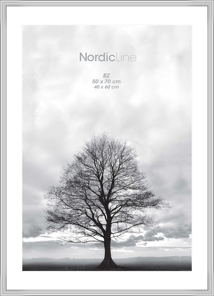 INCADO Κορνίζα Κορνίζα Nordic Line Slim Modern Ασημί Ξύλο Ακ. Γυαλί 30x40 cm INCADO