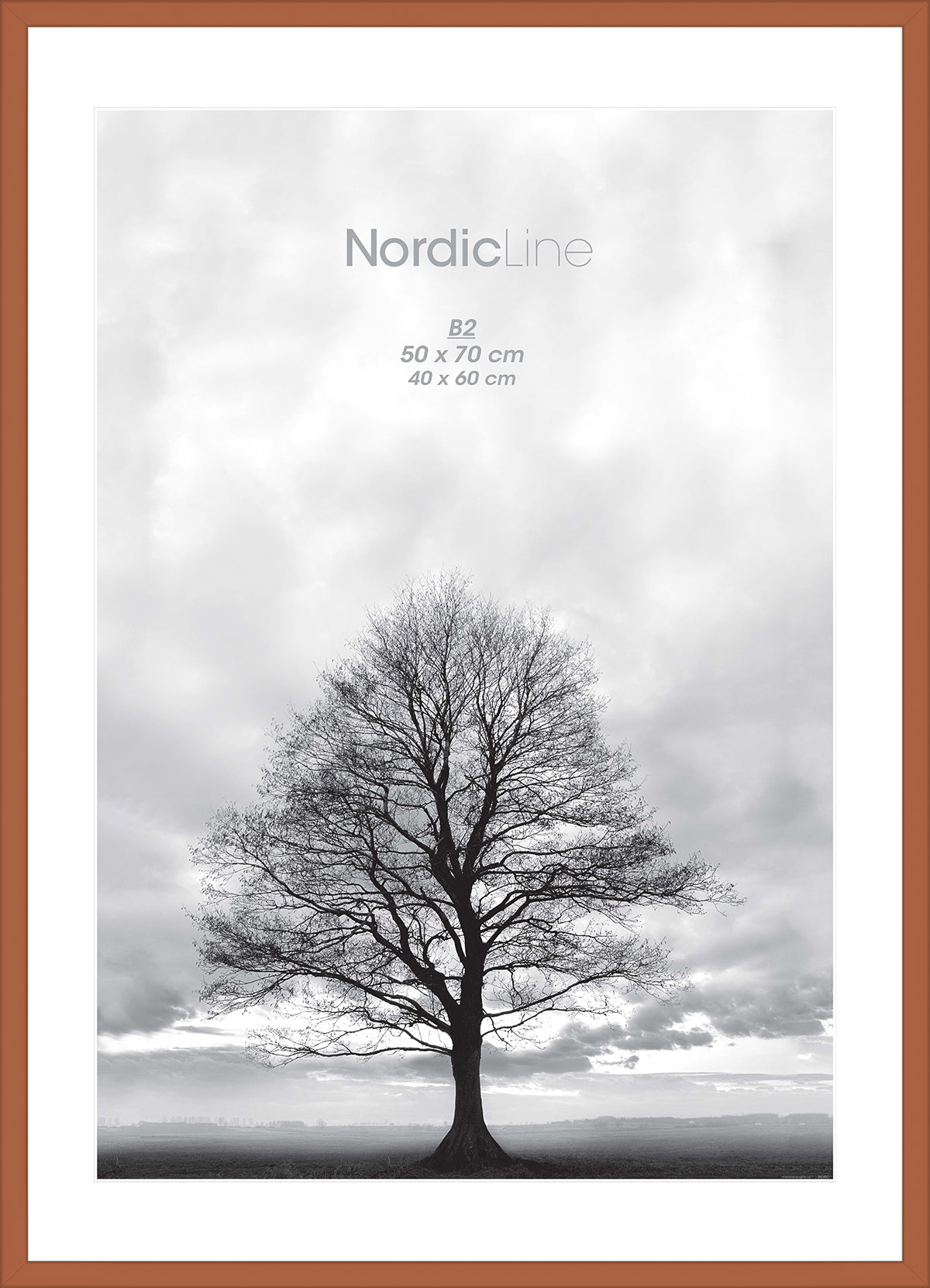 INCADO Κορνίζα Κορνίζα Nordic Line Slim Ξύλο Xρώμα Σκουριάς Ακ. Γυαλί 30x40 cm INCADO