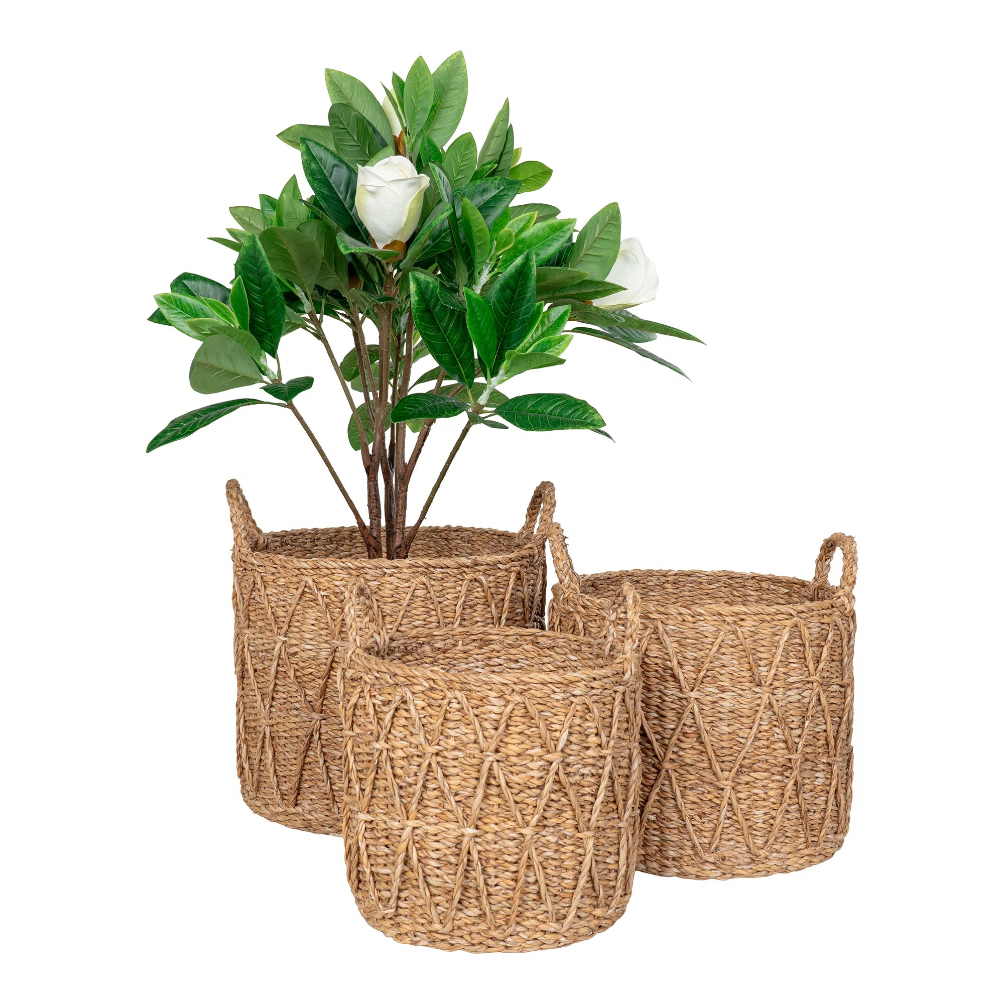 i Set Of 3 Seagrass Natural Ø28x25cm/ Ø32x27cm / Ø36x30cm House Nordic