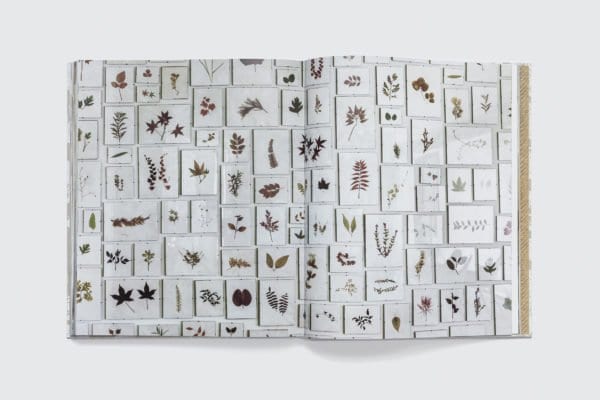 Hintsdeco Books Βιβλίο Τέχνης Βιβλίο Τέχνης,  Kerry Joyce: The Intangible, Μπεζ, 29,5×3×35 cm, Hintsdeco
